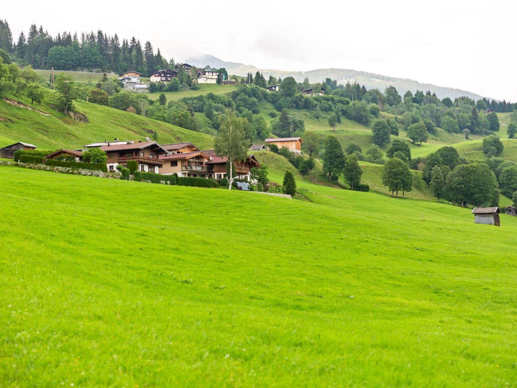 Sunlit Apartment Near Ski Area In Hollersbach Im Pinzgau Eksteriør bilde