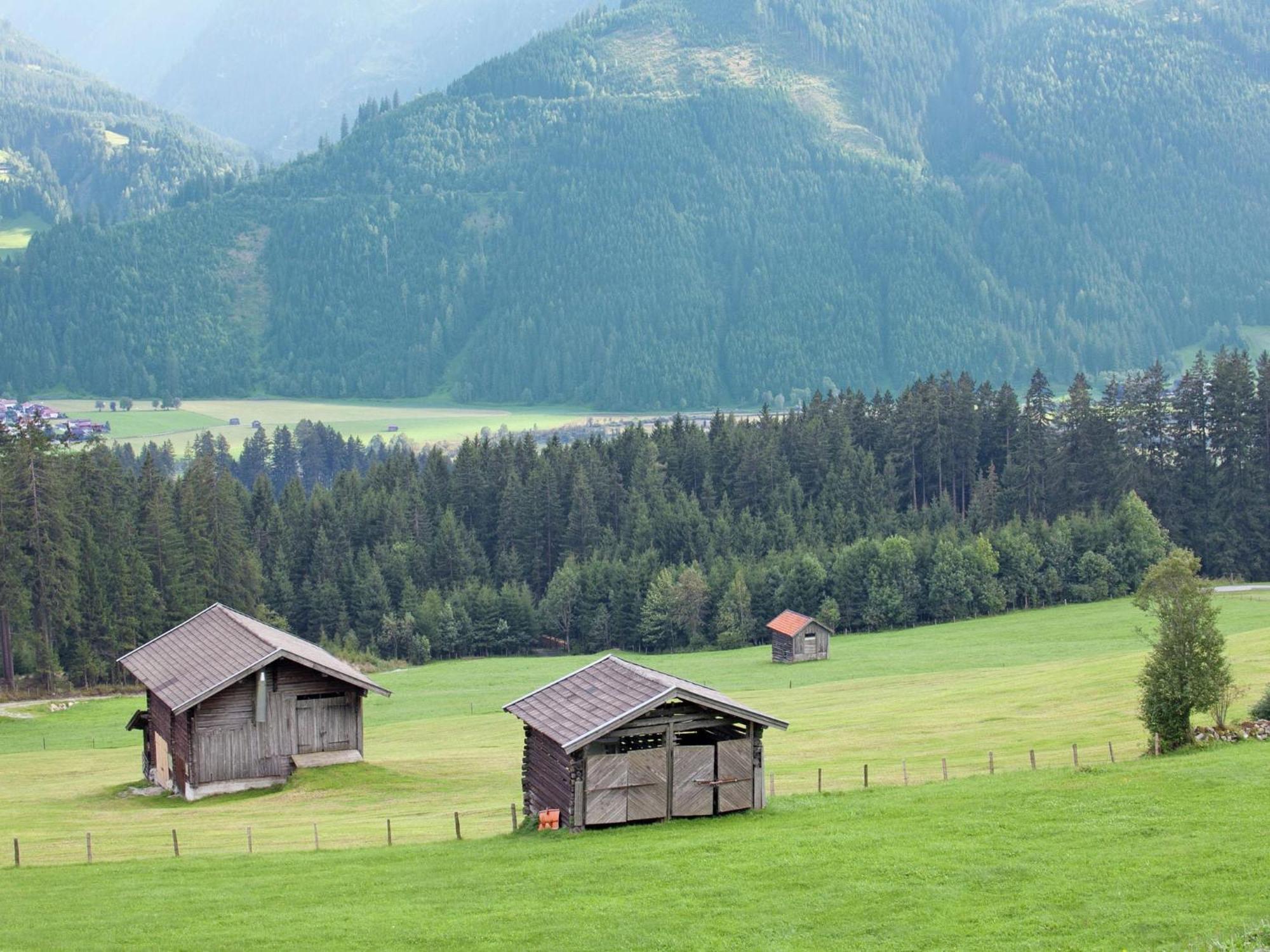 Sunlit Apartment Near Ski Area In Hollersbach Im Pinzgau Eksteriør bilde