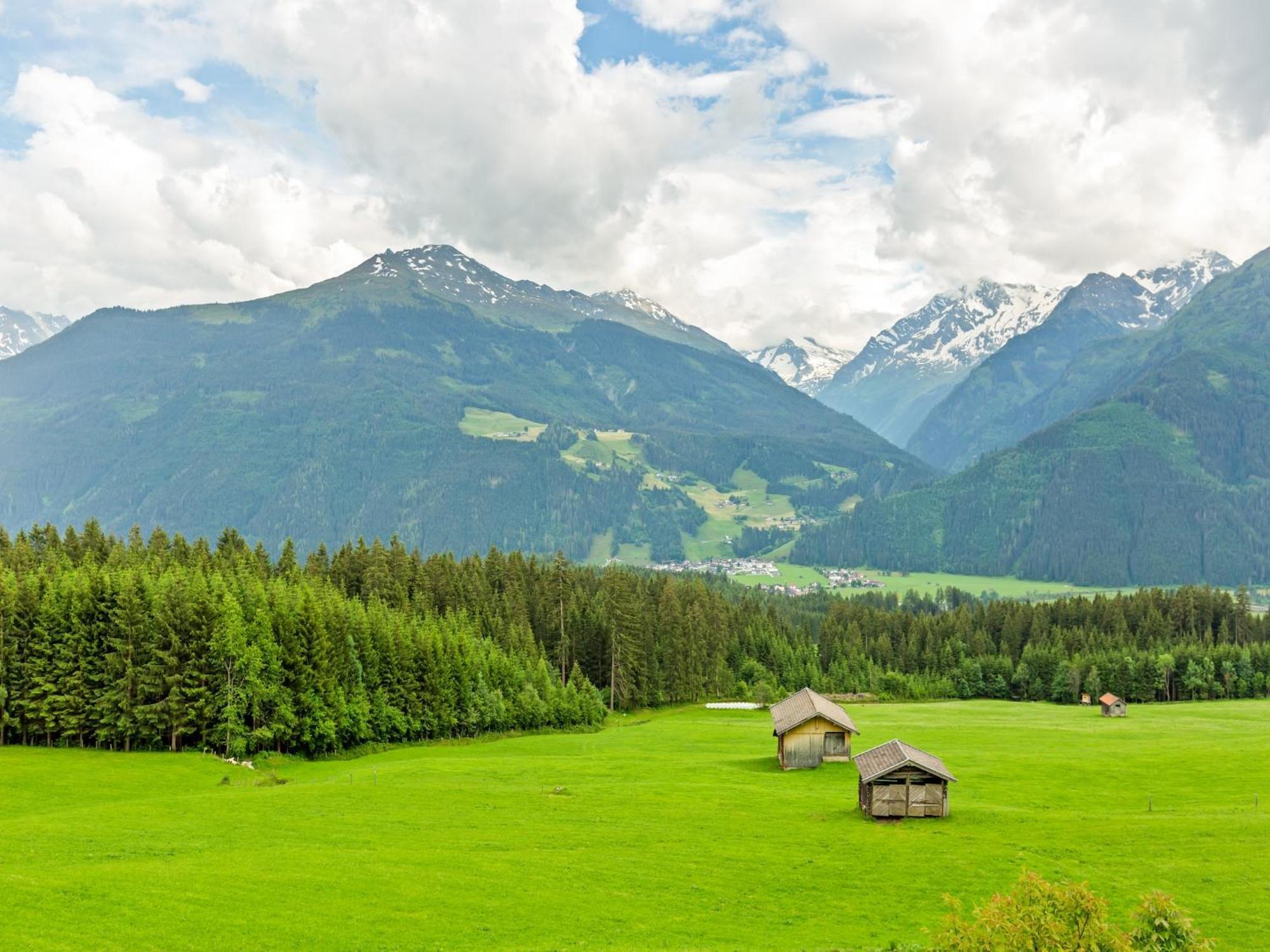 Sunlit Apartment Near Ski Area In Hollersbach Im Pinzgau Eksteriør bilde