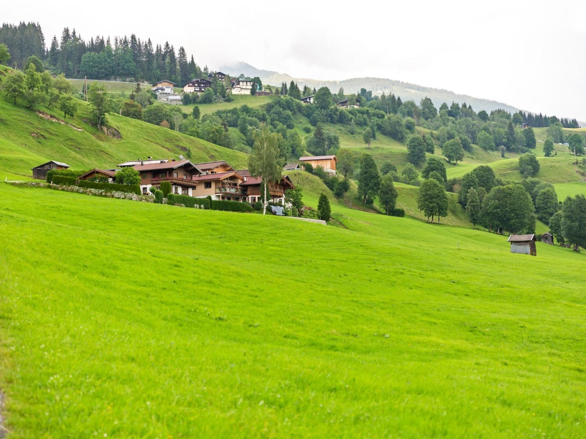 Sunlit Apartment Near Ski Area In Hollersbach Im Pinzgau Eksteriør bilde